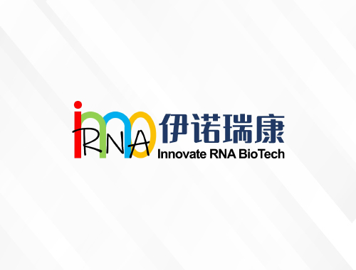 上海伊诺瑞康生物医药科技有限公司